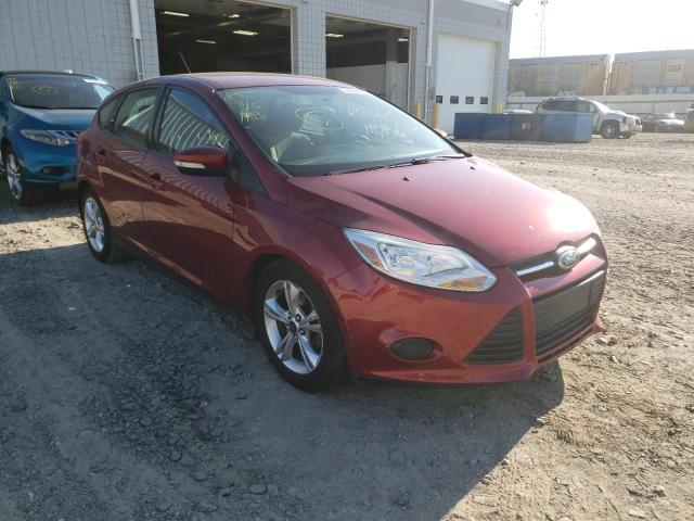 FORD FOCUS SE 2014 with VIN 1FADP3K28EL338416 - Photo from auction