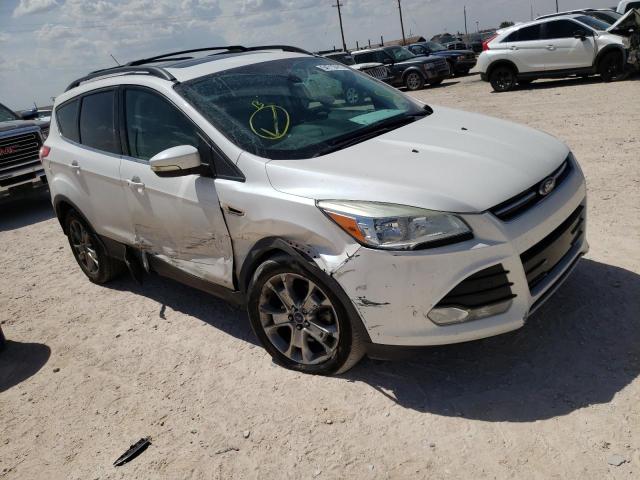 Photo 1 from auction – 2013 FORD ESCAPE SEL with VIN 1FMCU9H95DUA99496