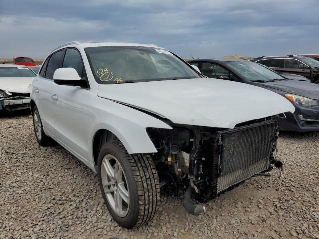 AUDI Q5 PREMIUM 2017 with VIN WA1L2AFP0HA024378 - Photo from auction