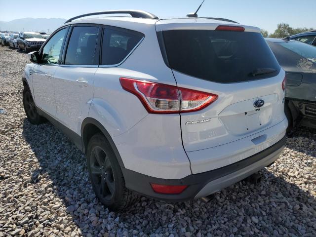 Photo 3 from auction – 2014 FORD ESCAPE SE with VIN 1FMCU9G90EUC31356
