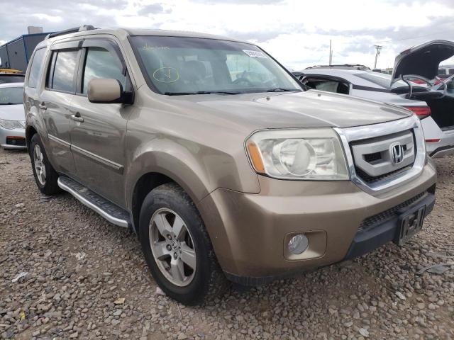 HONDA PILOT EXL 2009 with VIN 5FNYF48649B012751 - Photo from auction