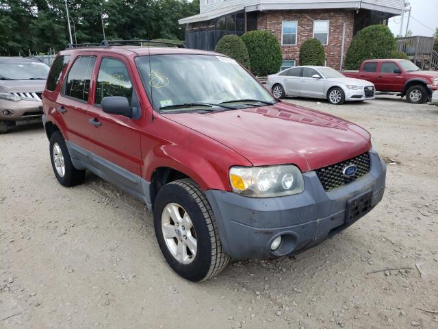 FORD ESCAPE XLT 2007 with VIN 1FMYU93167KB77792 - Photo from auction