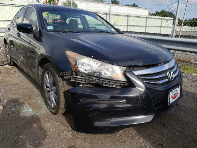 HONDA ACCORD EXL 2011 with VIN 1HGCP2F83BA080328 - Photo from auction