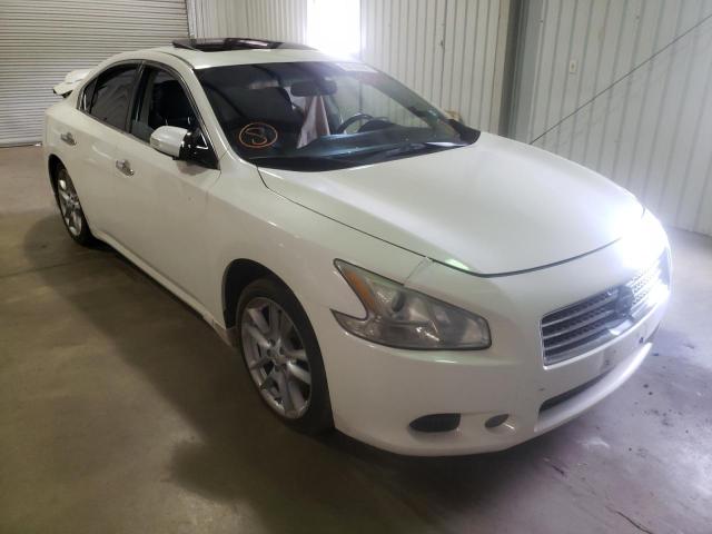 NISSAN MAXIMA S 2010 with VIN 1N4AA5AP4AC831307 - Photo from auction