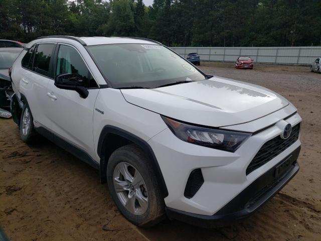 TOYOTA RAV4 LE 2019 with VIN 2T3LWRFV6KW012199 - Photo from auction