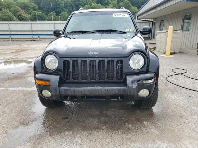 Photo 9 from auction – 2002 JEEP LIBERTY LI with VIN 1J8GL58K32W329244