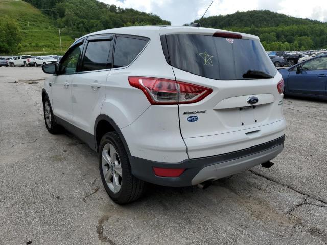 Photo 3 from auction – 2014 FORD ESCAPE SE with VIN 1FMCU9G95EUE14526