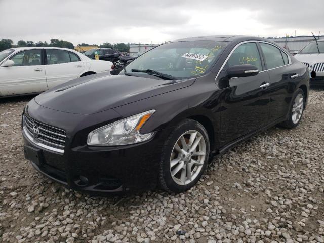 Photo 2 from auction – 2010 NISSAN MAXIMA S with VIN 1N4AA5AP5AC843904