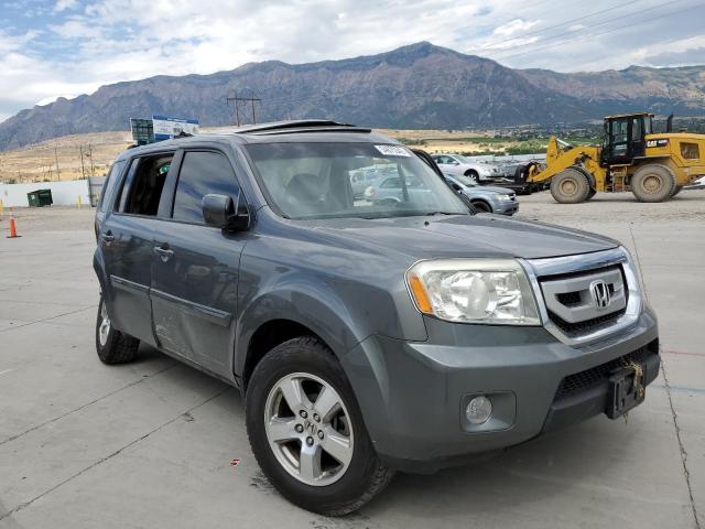 HONDA PILOT EX 2009 with VIN 5FNYF48509B030137 - Photo from auction