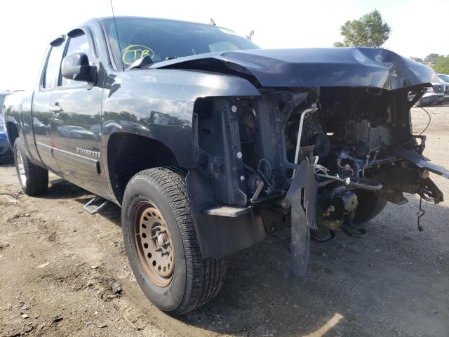 CHEVROLET SILVERADO 2009 with VIN 1GCEK39079Z135585 - Photo from auction