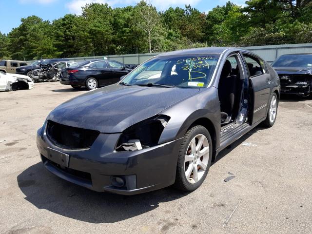 Photo 2 from auction – 2008 NISSAN MAXIMA SE with VIN 1N4BA41EX8C813479