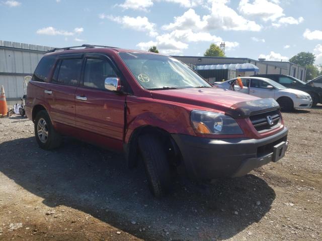 HONDA PILOT EXL 2005 with VIN 2HKYF18505H523147 - Photo from auction