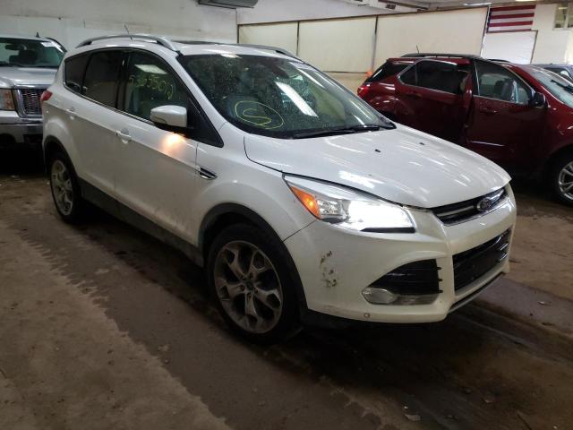 FORD ESCAPE TIT 2014 with VIN 1FMCU9JX4EUD23934 - Photo from auction