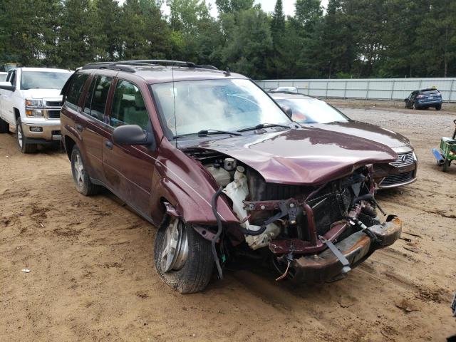 CHEVROLET TRAILBLAZE 2006 with VIN 1GNDT13S362272560 - Photo from auction