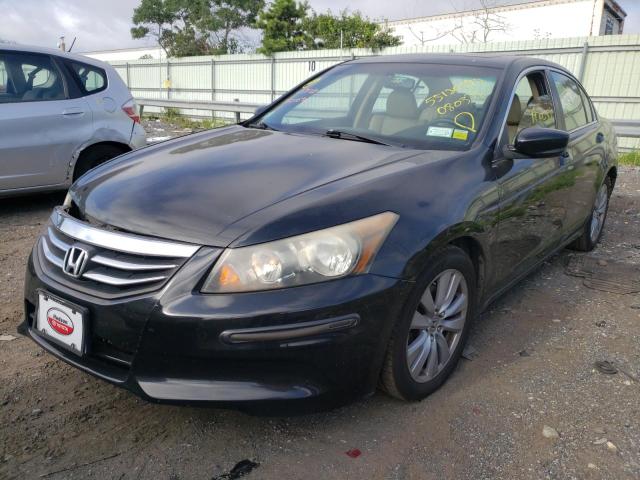 Photo 2 from auction – 2011 HONDA ACCORD EXL with VIN 1HGCP2F83BA080328