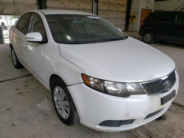 KIA FORTE EX 2011 with VIN KNAFU4A26B5319430 - Photo from auction