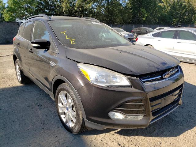 Photo 1 from auction – 2013 FORD ESCAPE SEL with VIN 1FMCU9HX8DUB15818