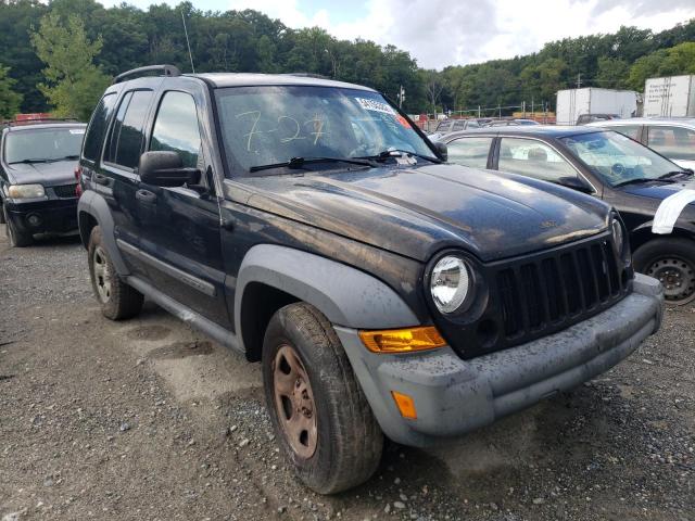 JEEP LIBERTY SP 2006 with VIN 1J4GL48K16W290543 - Photo from auction