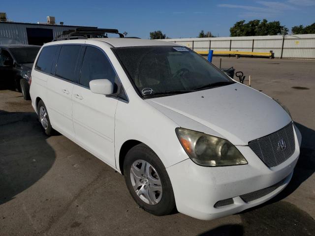 HONDA ODYSSEY EX 2007 with VIN 5FNRL38467B448391 - Photo from auction