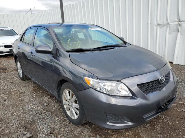 TOYOTA COROLLA BA 2009 with VIN 2T1BU40E69C112207 - Photo from auction