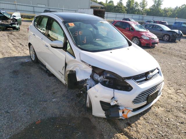FORD C-MAX SEL 2013 with VIN 1FADP5BU9DL547224 - Photo from auction