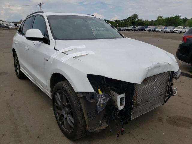 AUDI SQ5 PREMIU 2015 with VIN WA1CGAFP2FA108345 - Photo from auction
