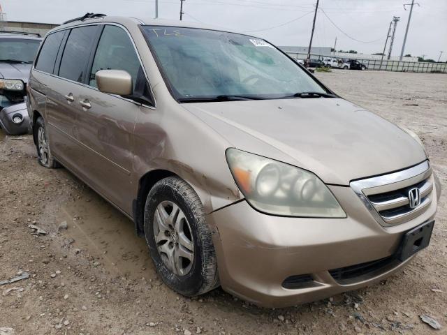 HONDA ODYSSEY EX 2005 with VIN 5FNRL38415B415344 - Photo from auction