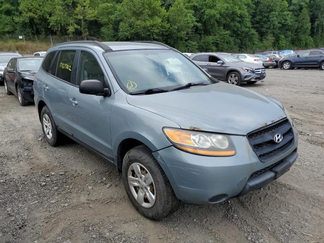 HYUNDAI SANTA FE G 2009 with VIN 5NMSG13D89H256991 - Photo from auction