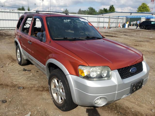 FORD ESCAPE XLT 2007 with VIN 1FMCU93167KB37254 - Photo from auction