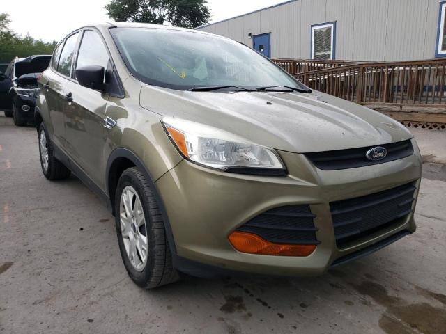 FORD ESCAPE S 2014 with VIN 1FMCU0F79EUA18305 - Photo from auction