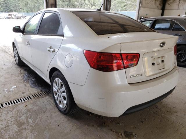 Photo 3 from auction – 2011 KIA FORTE EX with VIN KNAFU4A26B5319430
