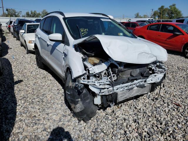 FORD ESCAPE SE 2014 with VIN 1FMCU9G90EUC31356 - Photo from auction