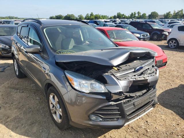 FORD ESCAPE SE 2014 with VIN 1FMCU0GX0EUB60489 - Photo from auction