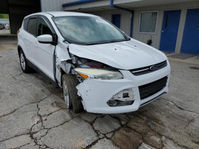 FORD ESCAPE SE 2014 with VIN 1FMCU9G95EUE14526 - Photo from auction