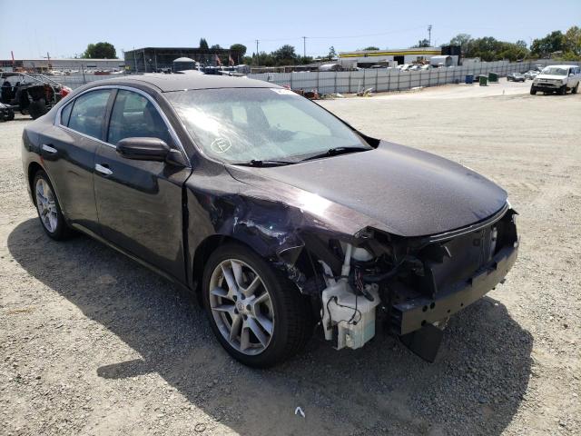 NISSAN MAXIMA S 2010 with VIN 1N4AA5AP5AC863523 - Photo from auction