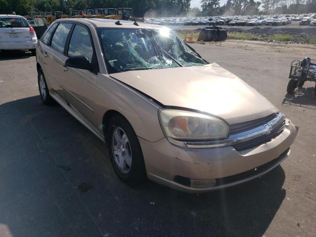 CHEVROLET MALIBU MAX 2004 with VIN 1G1ZU648X4F198001 - Photo from auction
