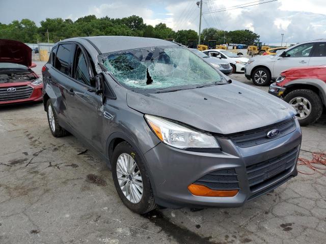 FORD ESCAPE S 2014 with VIN 1FMCU0F71EUB16261 - Photo from auction