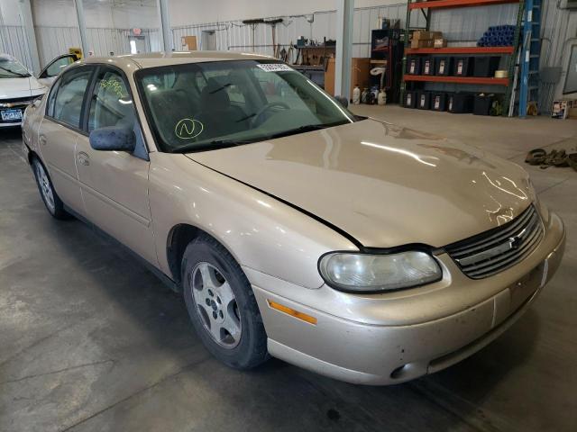 CHEVROLET MALIBU 2004 with VIN 1G1ND52F04M644629 - Photo from auction