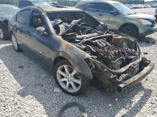NISSAN MAXIMA SE 2007 with VIN 1N4BA41E57C847652 - Photo from auction