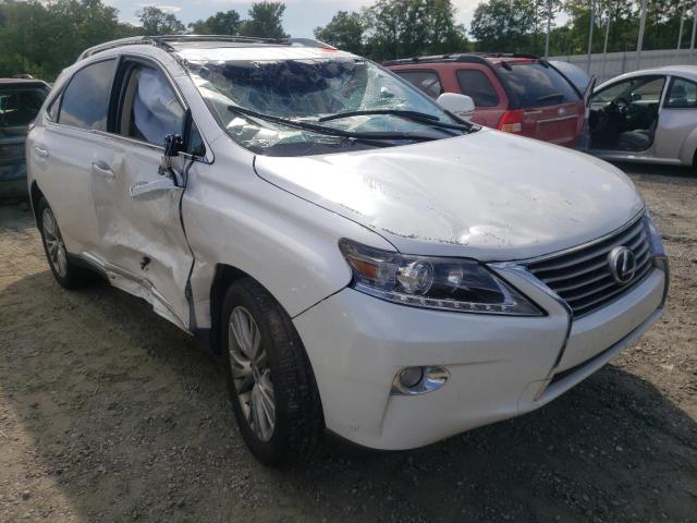 LEXUS RX 350 BAS 2013 with VIN 2T2BK1BA3DC224532 - Photo from auction