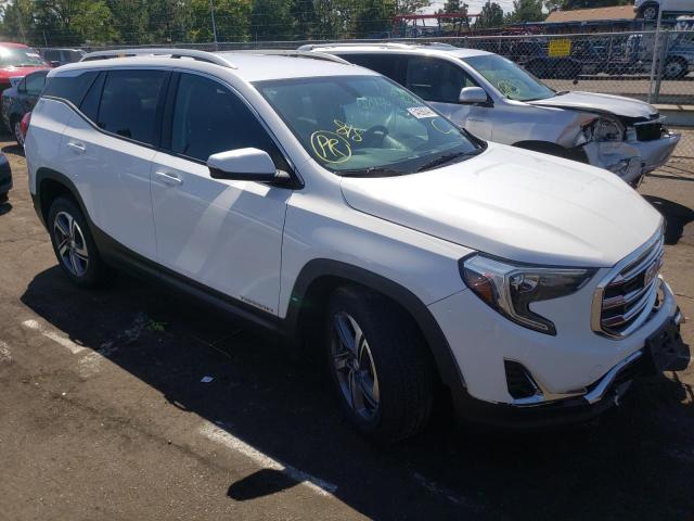 GMC TERRAIN SL 2019 with VIN 3GKALVEV4KL228591 - Photo from auction
