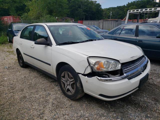 CHEVROLET MALIBU 2004 with VIN 1G1ZS52824F148177 - Photo from auction