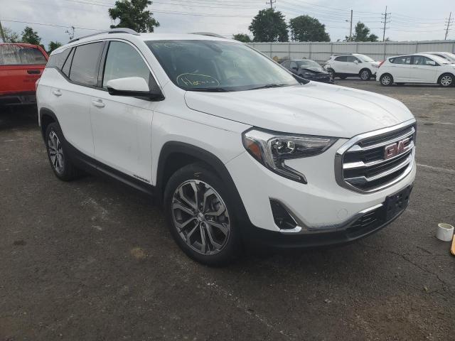 GMC TERRAIN SL 2020 with VIN 3GKALPEX0LL146002 - Photo from auction