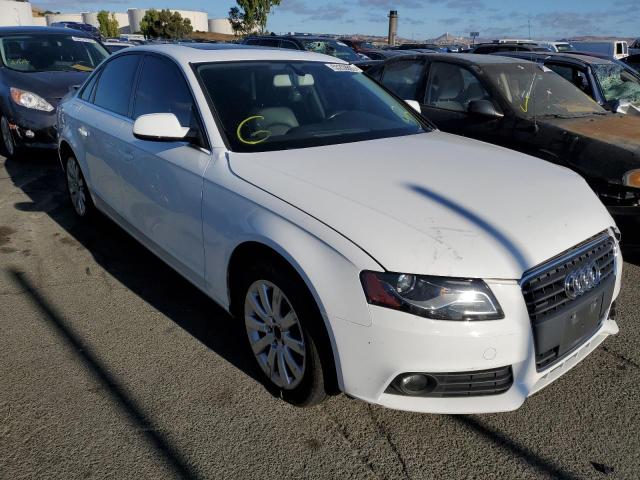 AUDI A4 PREMIUM 2012 with VIN WAUBFAFL9CN002526 - Photo from auction