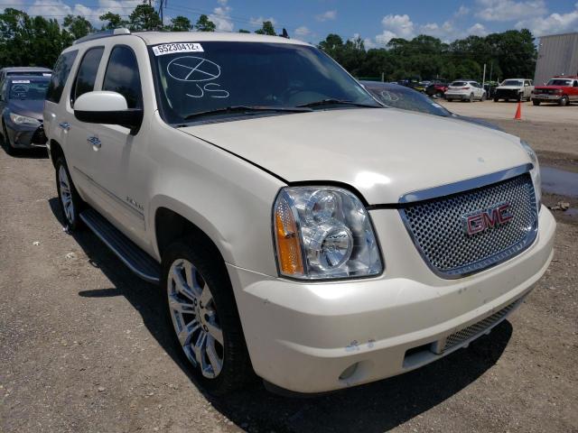 GMC YUKON DENA 2010 with VIN 1GKUCEEF9AR240099 - Photo from auction