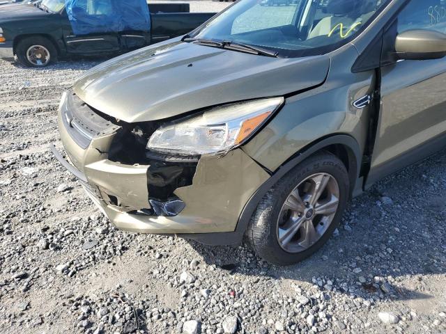 Photo 9 from auction – 2014 FORD ESCAPE SE with VIN 1FMCU0GXXEUB07136