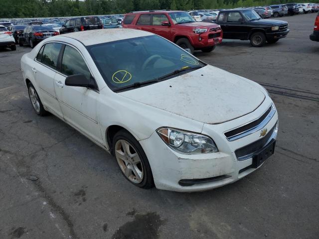 CHEVROLET MALIBU 2012 with VIN 1G1ZB5E05CF205430 - Photo from auction