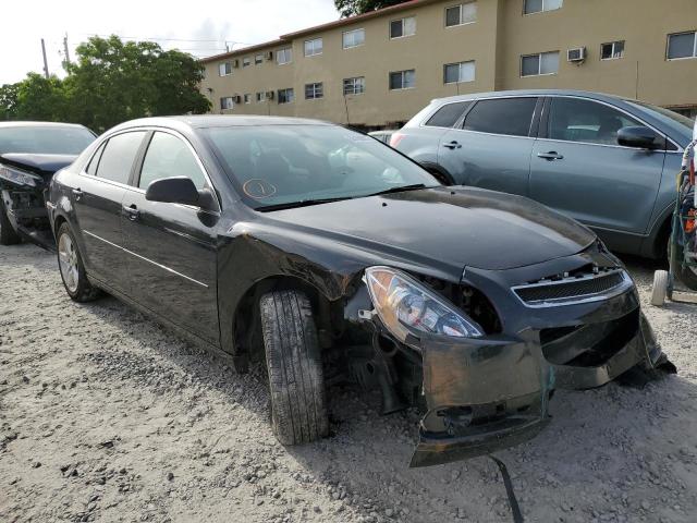 CHEVROLET MALIBU LS 2012 with VIN 1G1ZB5E01CF206526 - Photo from auction