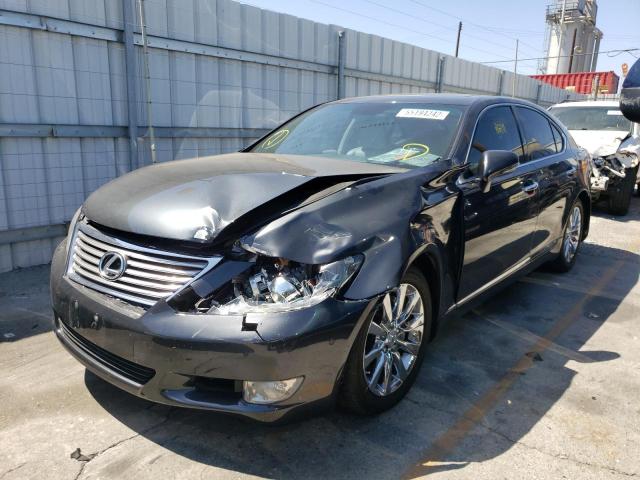 Photo 2 from auction – 2010 LEXUS LS 460 with VIN JTHBL5EF2A5092466