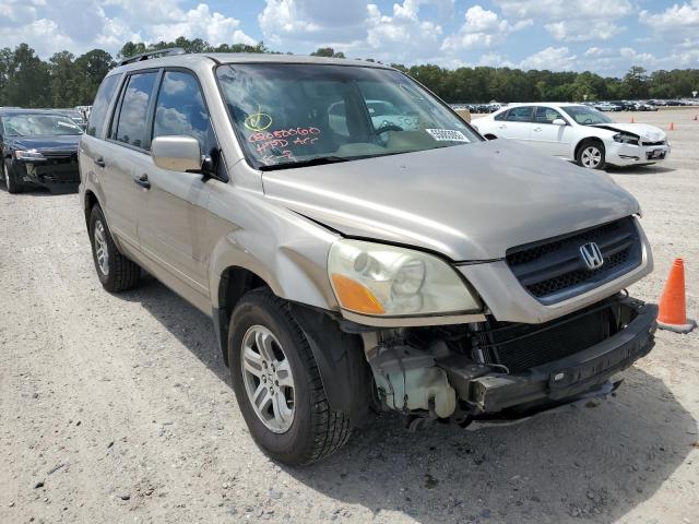 HONDA PILOT EXL 2005 with VIN 5FNYF18565B035030 - Photo from auction